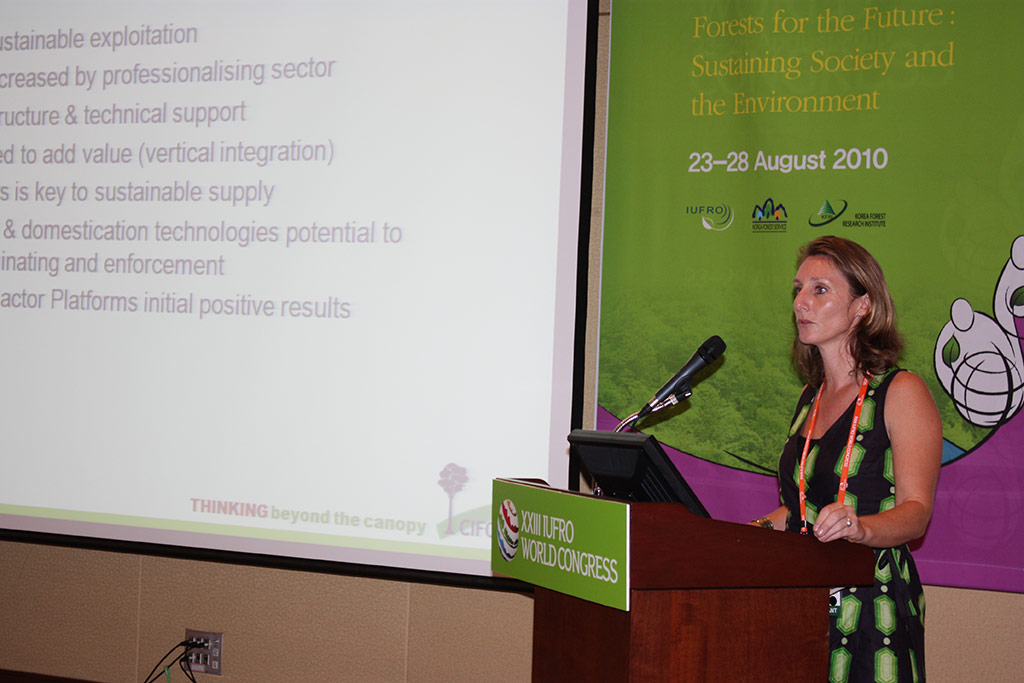 CIFOR's Verina Ingram looked at an endangered tree species in Cameroon and analysed the potential to grow more to sustain livelihoods