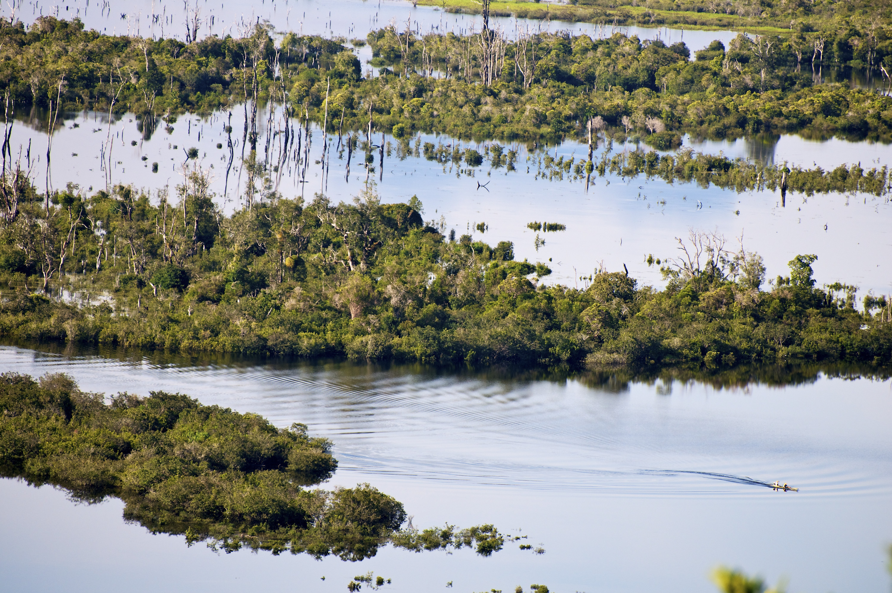 20100529_Indonesia_West_Kalimantan_RB-66