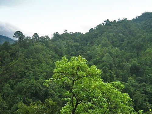 nepal1