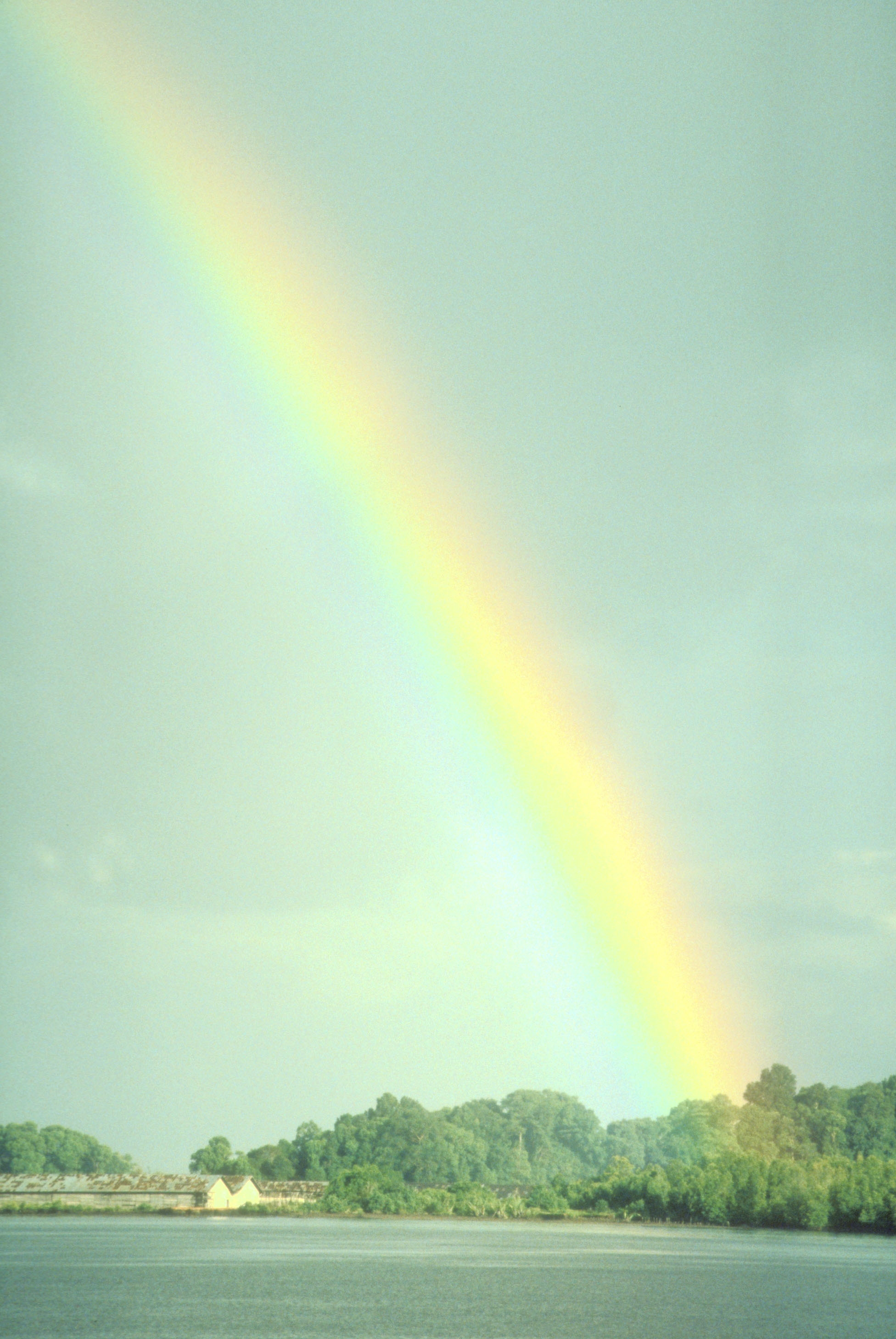 West Kalimantan Rainbow