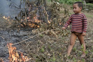 Akha tribe child playing with forest fire