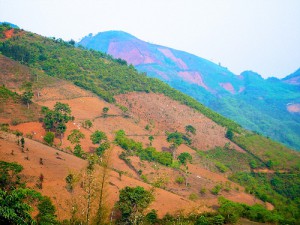 China Landscape