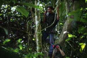 Forest ranger