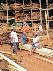 Women play a key role as traders of domestic timber. Many of the depots in Montéee Parc market, Yaoundé, are owned by women.
