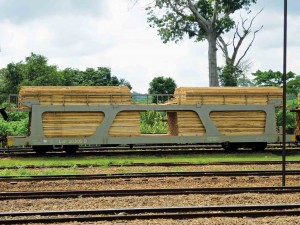 Significant quantities of timber are transported from East Region to the capital from Belabo railway station.