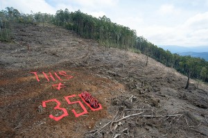 Wilderness Society 350 Forest Climate Action