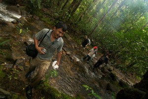 CIFOR search mahasiswa