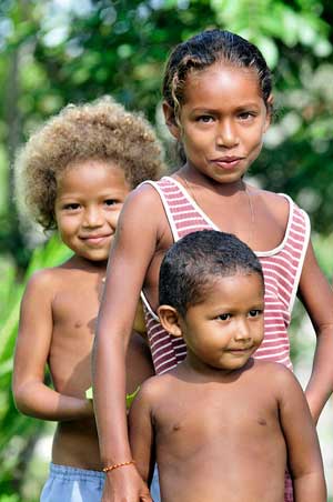 Amazon - Brazil, 2011. Neil Palmer/CIAT