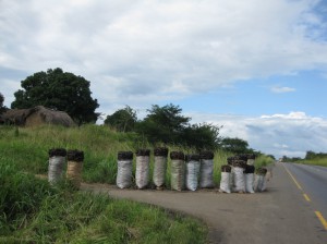 charcoal sacks