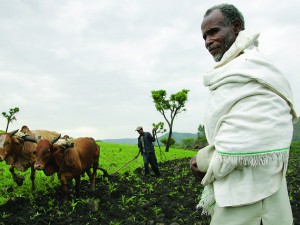 Ethiopia, lower Ghibe valley