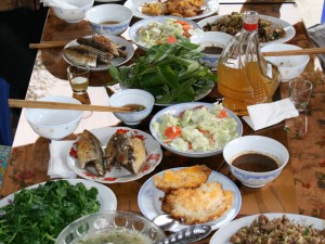 forest food