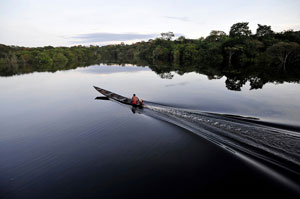 Dawn in Amazon (Neil Palmer/CIAT/CIFOR)