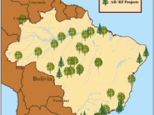 REDD map