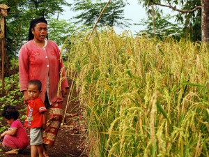 Photo by Yayan Indriatmoko/CIFOR