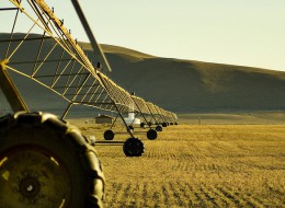 agriculture