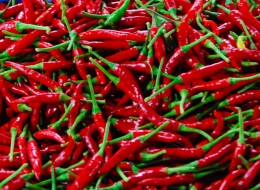 Chilli