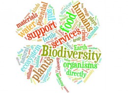 biodiversity