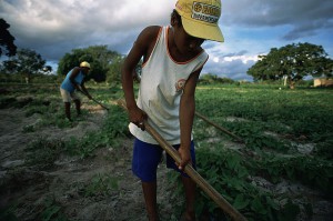 Latin America farmer