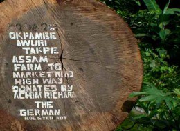 Sign on log, Cameroon, April, 2009