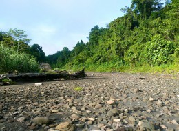 Photo by CIFOR