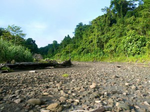 Photo by CIFOR