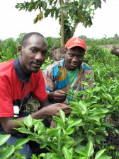 Michael Balinga (L) with nursery owner Fodé Camara of Kindia (R)