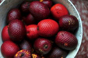 amazon fruit