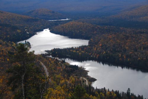 canada forest