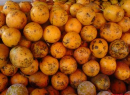 passionfruit