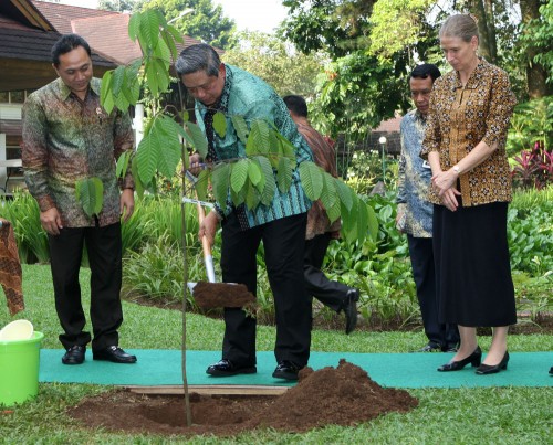 Indonesian President At CIFOR