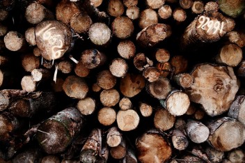 sustainable timber