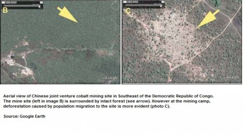 drc-forest2