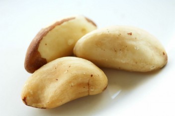 brazil nut