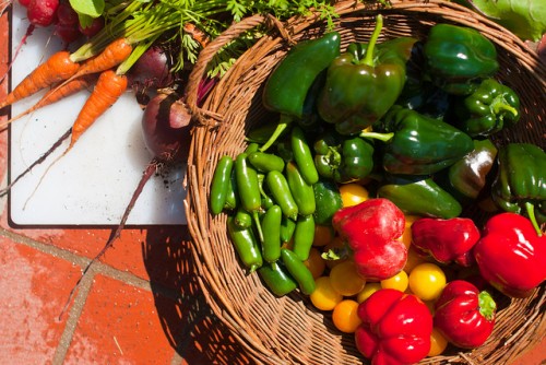 Bumper Crop
