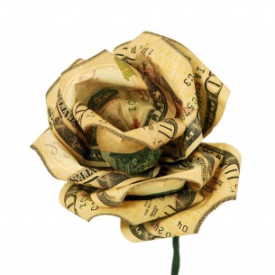 money flower