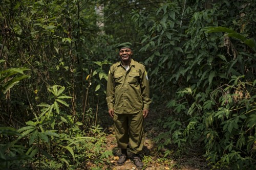 Ollivier Girard/CIFOR