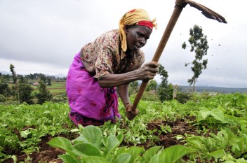 Beberapa persyaratan pertanian - tergantung dari tipe tanaman pangan - dapat bertubrukan dengan manfaat lingkungan hidup jangka panjang. Neil Palmer (CIAT)