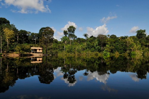 Amazon - Brazil, 2011 Photo by Neil Palmer/CIAT