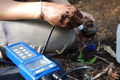 Measuring the amount of carbon stored and released from peatland clearing will be critical to assess REDD+'s overall impact on the environment and atmosphere. Iddy Farmer/CIFOR