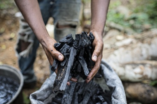 Charcoal producers, traders, transporters and consumers in the Congo Basin are vulnerable to changes in the climate.