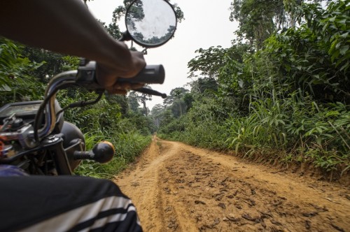 Roads such as this are arteries to the forest, allowing people to access fruits, plants and bushmeat.