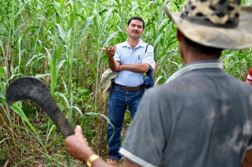 Global action is needed to ensure food security under a changing climate. Neil Palmer (CIAT).