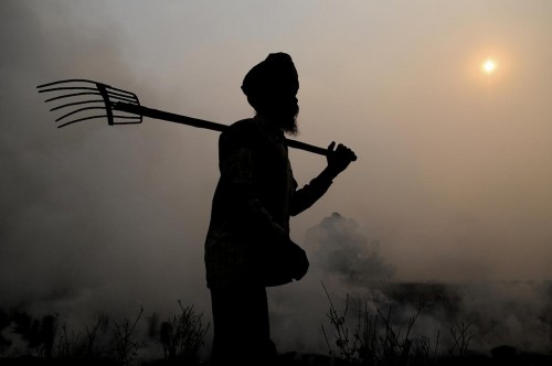 Reducing air pollution from wood burning would decrease emissions, improve health and lead to new industries and development in the region. Neil Palmer (CIAT).