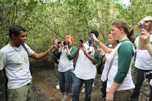 Youth ambassadors map the mangroves in Bahia, Brazil, by uploading photos and reports of different species of animals and plants they found. Qatar Foundation International.
