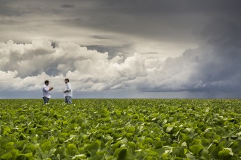 Los impactos de la producción de biocombustibles varían, lo que dificulta generalizarlos con calificativos como “malos” o “buenos” para el medio ambiente, la economía y la sociedad. Matt Mawson