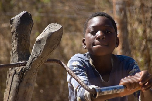 Los bosques son importantes para el suministro limpio y regular de agua. Jeff Walker/CIFOR