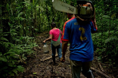 Maricela Tapuy ajuda o marido a colher madeira e limpar a floresta para a agricultura. CIFOR/Kate Evans
