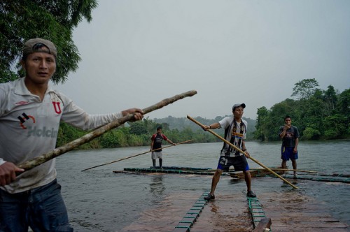A madeira é uma parte importante das estratégias de sobrevivência dos pequenos produtores da Amazônia do Equador. CIFOR/Kate EvansKate Evans/CIFOR