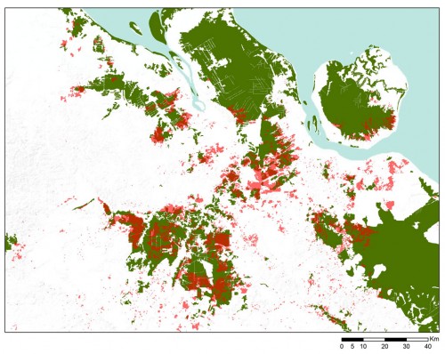 Figure 7. Areas that burned in June 2013 (red) and natural forest cover in 2007 (green).