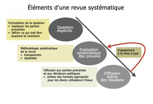 Principaux éléments d'une revue systématique, adaptée de Petrokofsky et al. 2011 et reproduite avec l'aimable autorisation de l'Association forestière du Commonwealth.